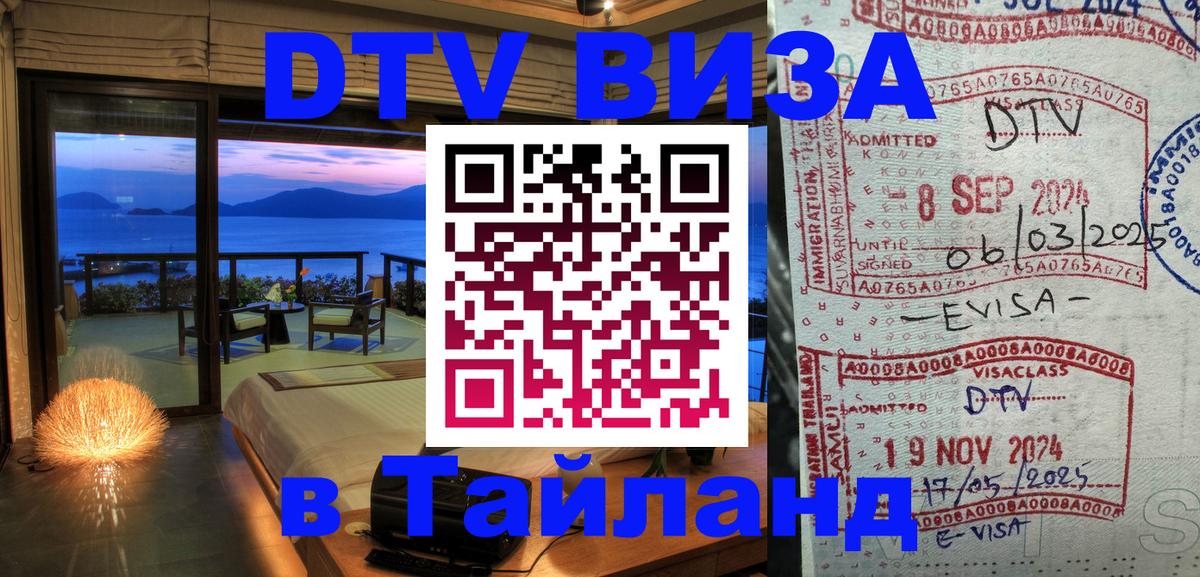 Оформление DTV визы под ключ: стоимость и тарифы, только загранпаспорт - Саранск  03.10.2025 